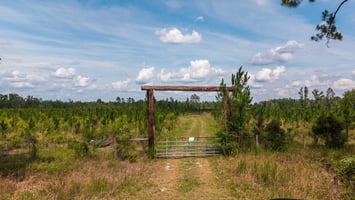 33887022