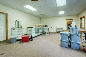33903598