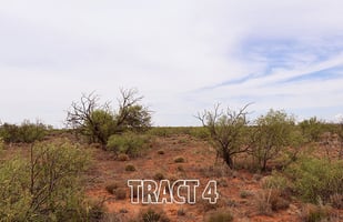33914202