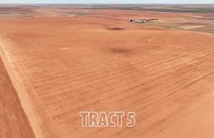 33914217