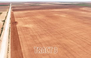 33914209