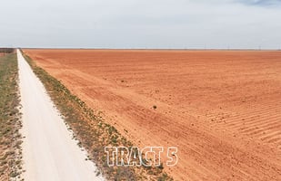 33914214