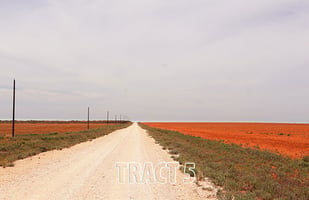 33914211