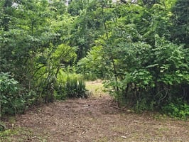 33910278