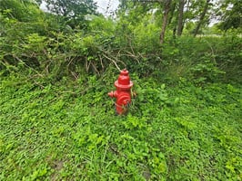 33910521