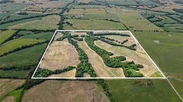 33910643