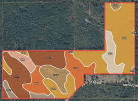 33916348