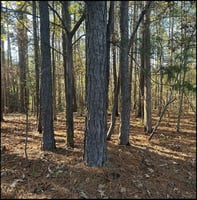 33920580