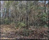 33926389