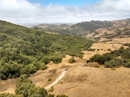 34079527
