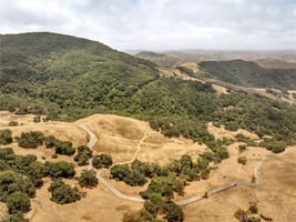 34079532