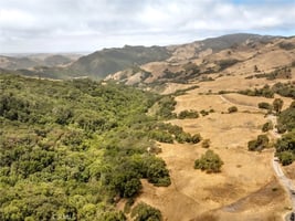 34079517