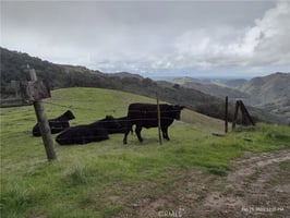 33931560
