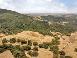 34079521