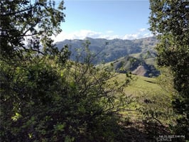 34079524