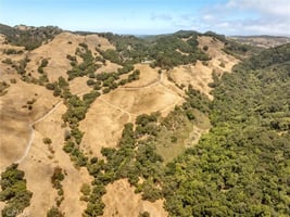 34079522