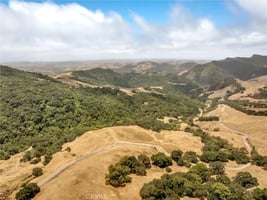 34079519