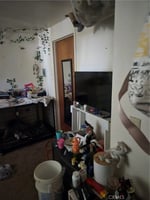 34474651