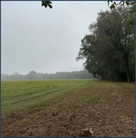 33932458