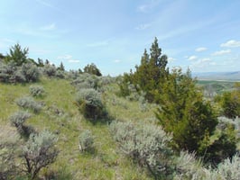 33943686