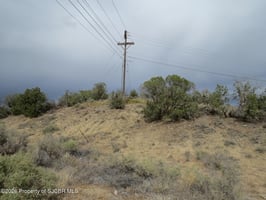 33946779