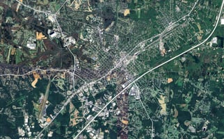 33951561