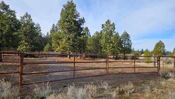 33981160