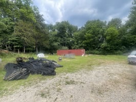 33981377
