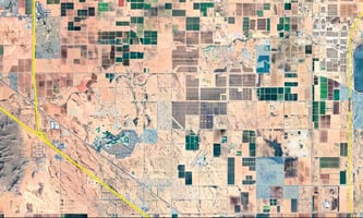 33981850