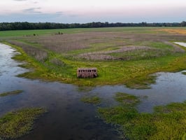 33982024