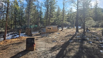 33982043