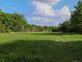 33982600