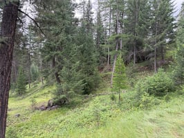 33983160