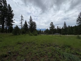 33983156