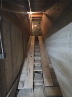 33983338
