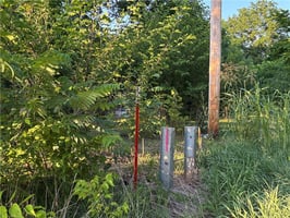 33984526