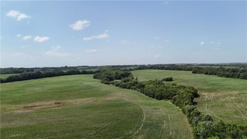 33984658