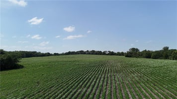 33984670