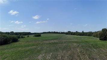 33984661