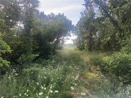 33984630