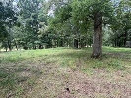 34000272