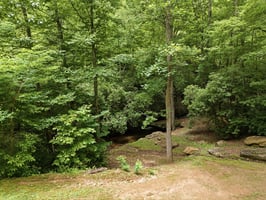 34002955
