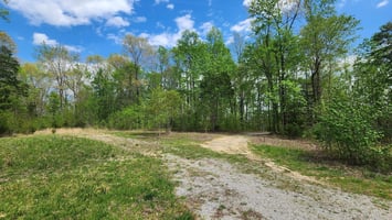 34003576