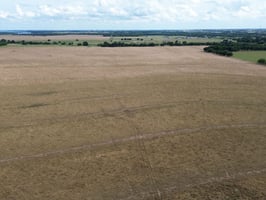 34004303