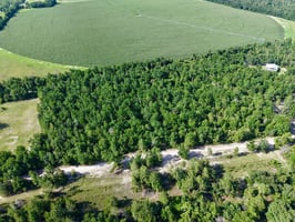 34019803