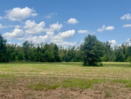 34020543