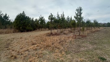 34028491