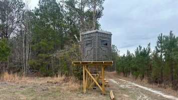 34028494