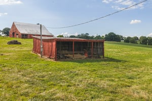 34034172