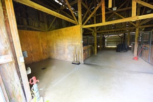 34039269
